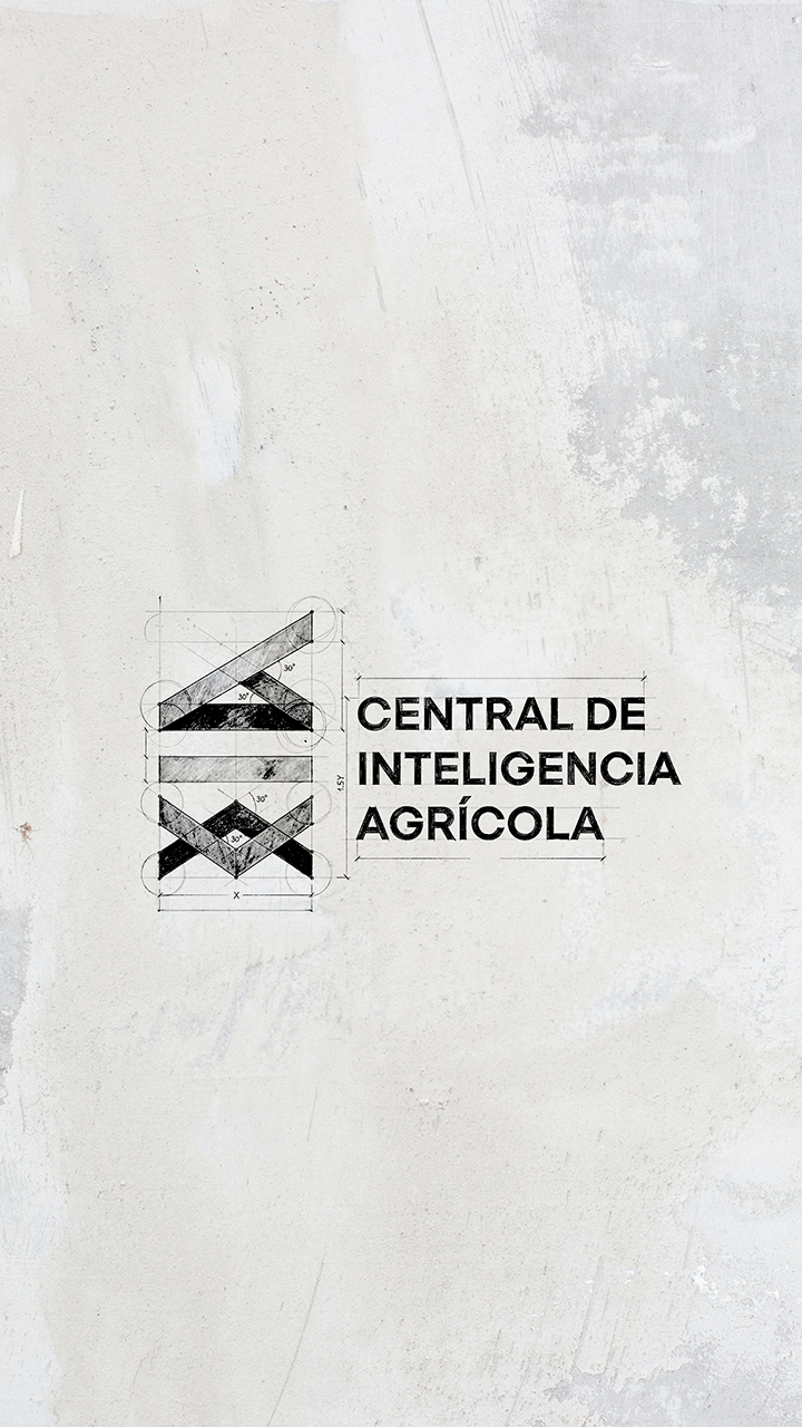 Central de Inteligencia